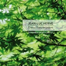 Jean-Luc Hervé